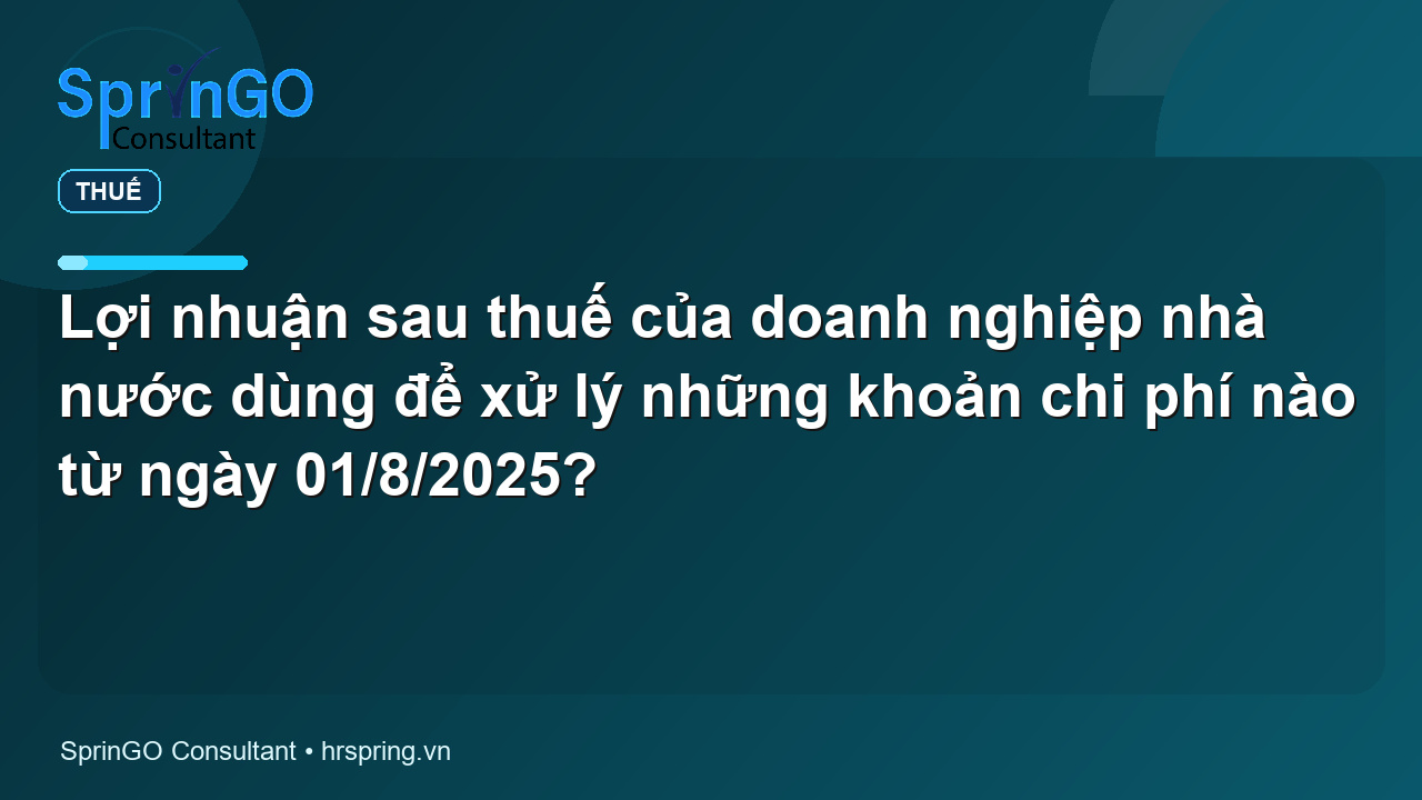 Lợi nhuận sau thuế của doanh nghiệp nhà nước dùng để xử lý những khoản chi phí nào từ ngày 01/8/2025? - pháp luật thuế | SprinGO Lợi nhuận sau thuế của doanh nghiệp nhà nước dùng để xử lý những khoản chi phí nào từ ngày 01/8/2025? - pháp luật thuế | SprinGO