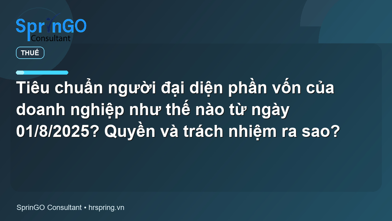 Tiêu chuẩn người đại diện phần vốn của doanh nghiệp như thế nào từ ngày 01/8/2025? Quyền và trách nhiệm ra sao? - pháp luật thuế | SprinGO Tiêu chuẩn người đại diện phần vốn của doanh nghiệp như thế nào từ ngày 01/8/2025? Quyền và trách nhiệm ra sao? - pháp luật thuế | SprinGO