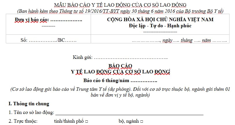 Mẫu báo cáo y tế lao động 6 tháng đầu năm 2026