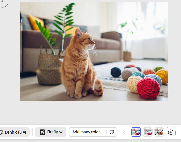 Ảnh mới chỉnh trên Adobe Photoshop online