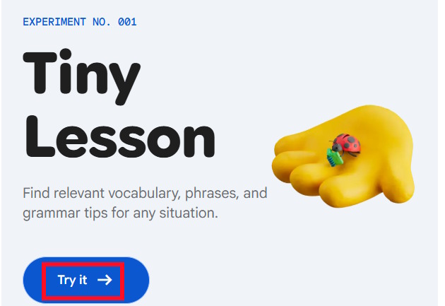 Tiny Lesson Google Labs