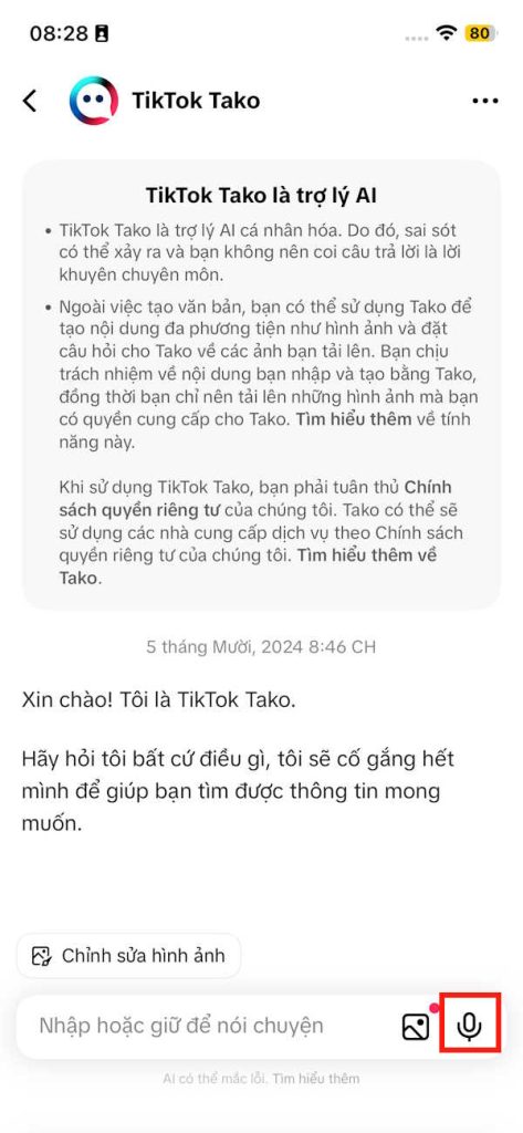 Chat bằng giọng nói 