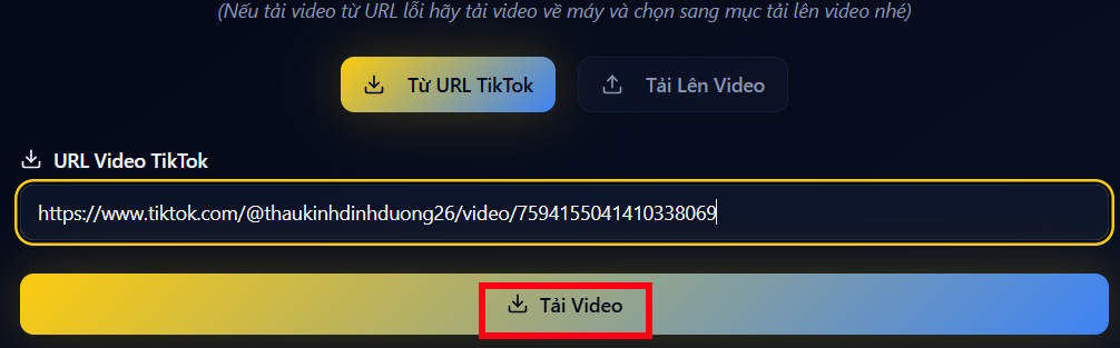 Video cần phân tích trên TikViral