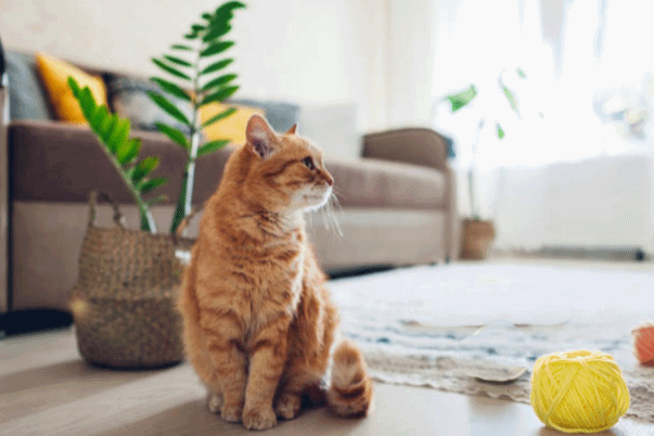 Ảnh đổi màu bằng AI
