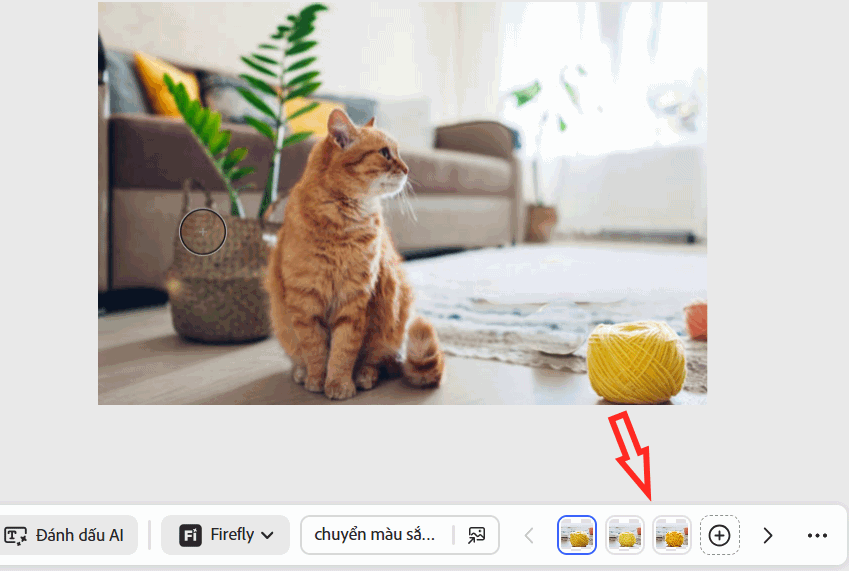 Ảnh mới đổi màu trên Photoshop online