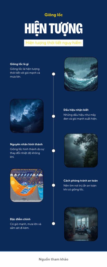 Infographic Canva