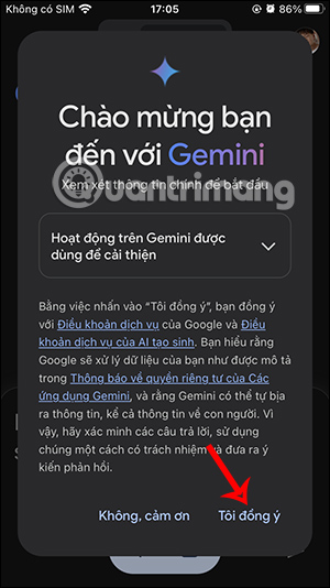 Điều khoản dùng Gemini