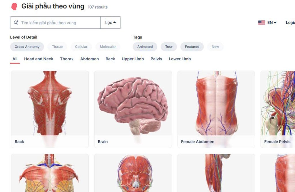 Mô hình trên BioDigital Human