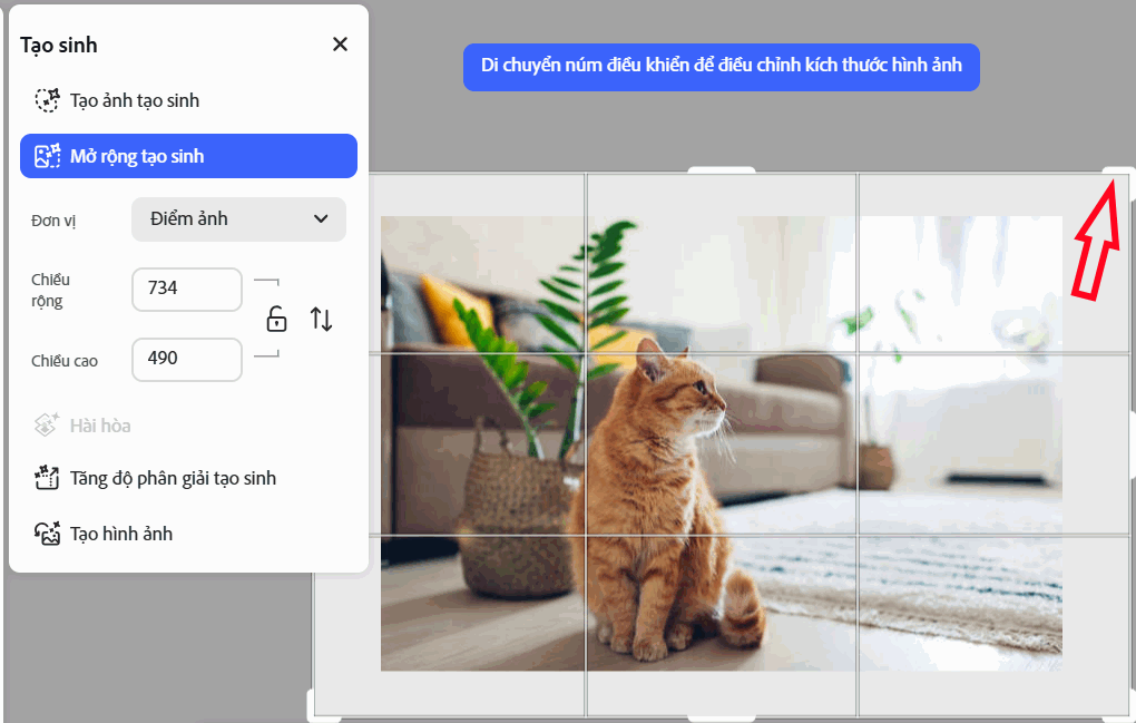 Chỉnh khung hình mở rộng trên Adobe Photoshop online