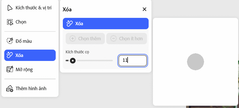 Kích thước công cụ khoanh vùng trên Photoshop Online