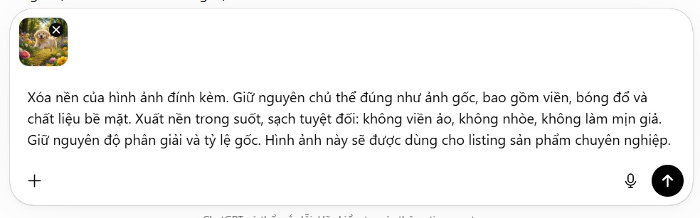 Câu lệnh tách nền trên ChaGTP