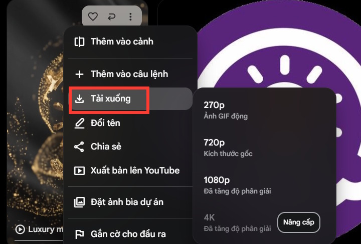 Chọn kích thước video intro trên Flow
