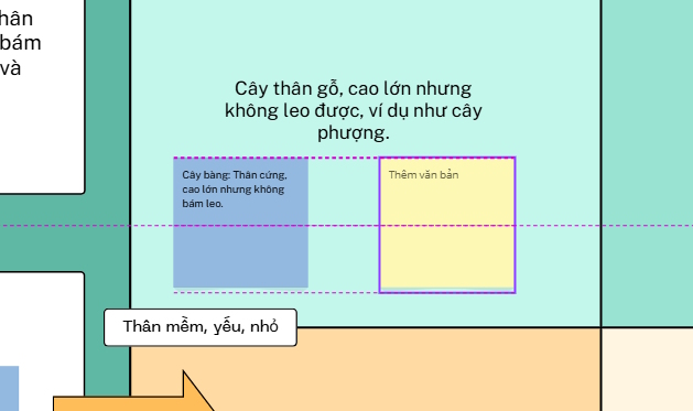 Chỉnh sửa nội dung hoat động tạo trên Canva AI