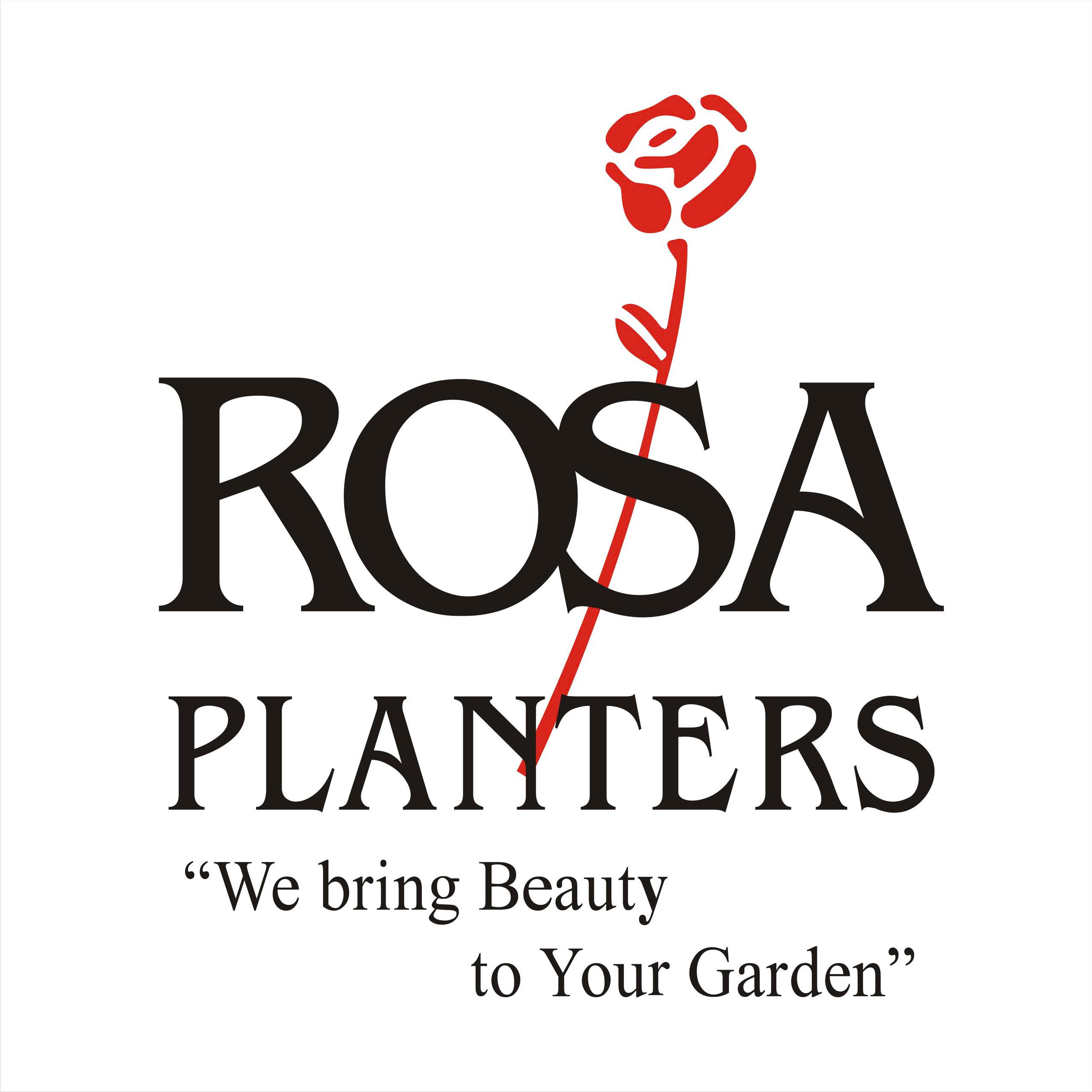 CÔNG TY TNHH ROSA PLANTERS VIỆT NAM