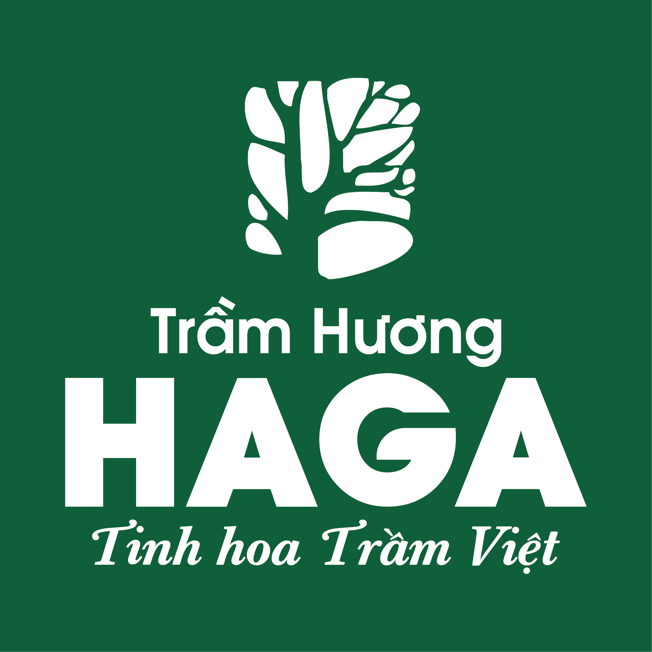 CÔNG TY TNHH TRẦM HƯƠNG HOÀNG GIANG