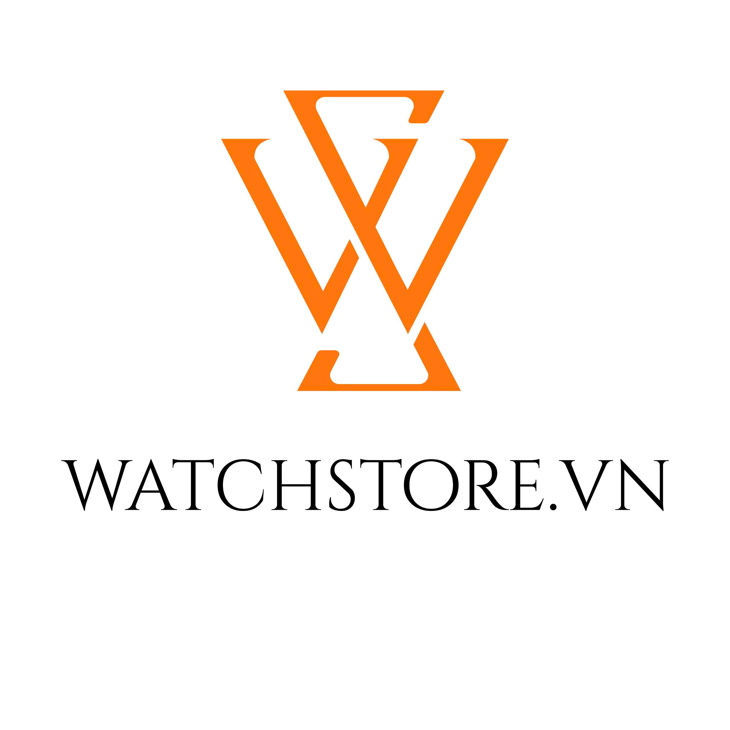 Công ty Cổ phần Sao Việt Nam