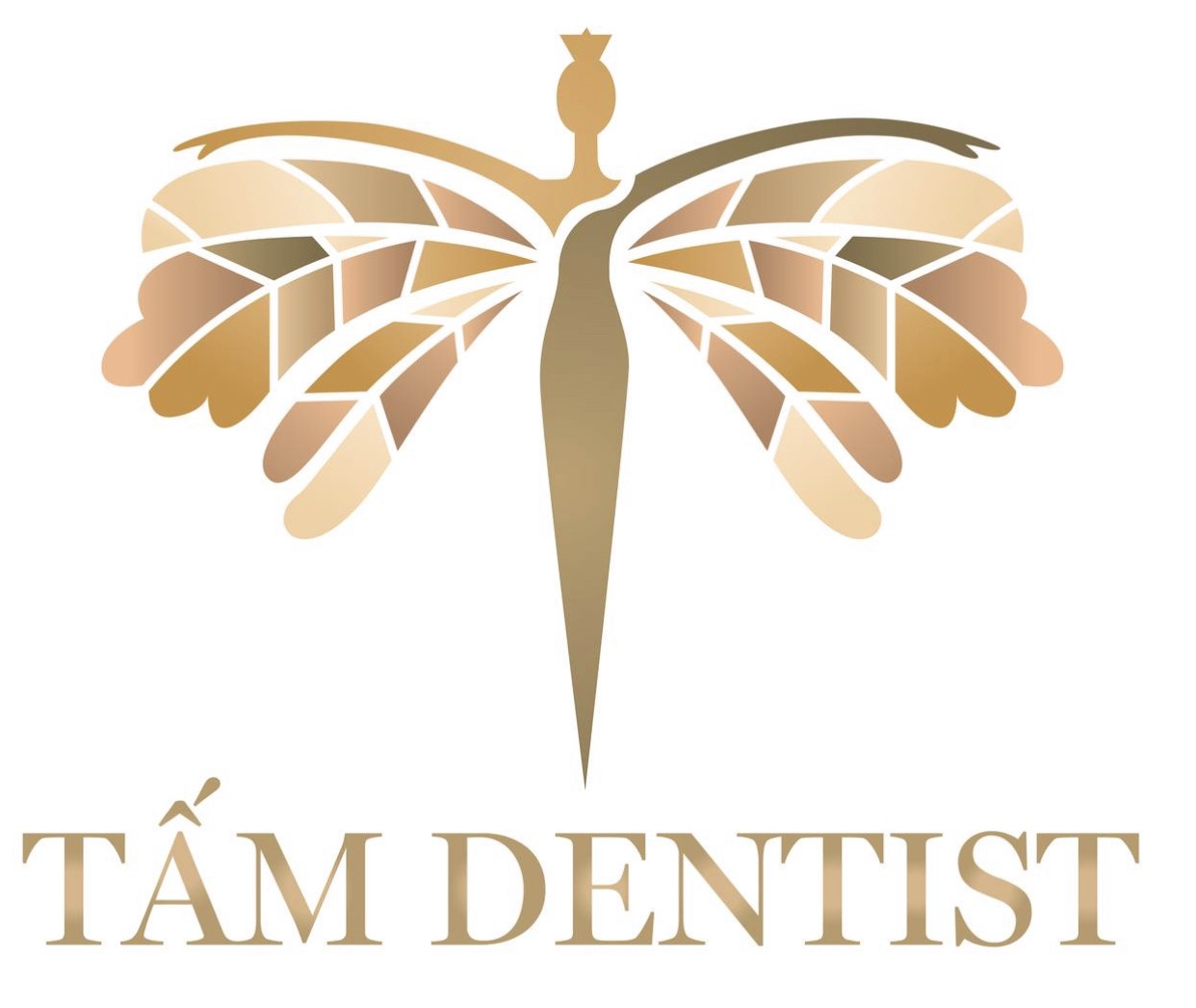 CÔNG TY TNHH Y KHOA QUỐC TẾ NINA