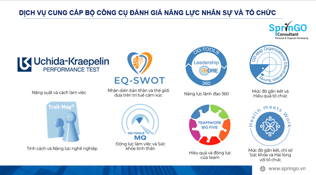 Bộ công cụ khảo sát sức khỏe doanh nghiệp – SprinGO Consulting
