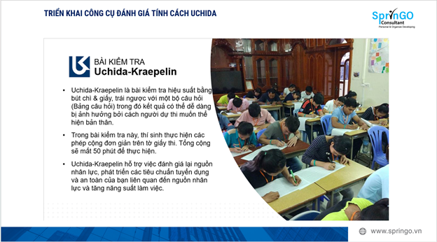 Minh họa báo cáo sức khỏe doanh nghiệp – SprinGO