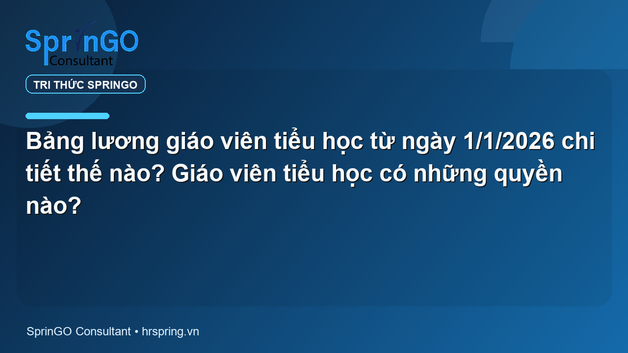 Bảng lương giáo viên tiểu học từ ngày 1/1/2026 chi tiết thế nào? Giáo viên tiểu học có những quyền nào?