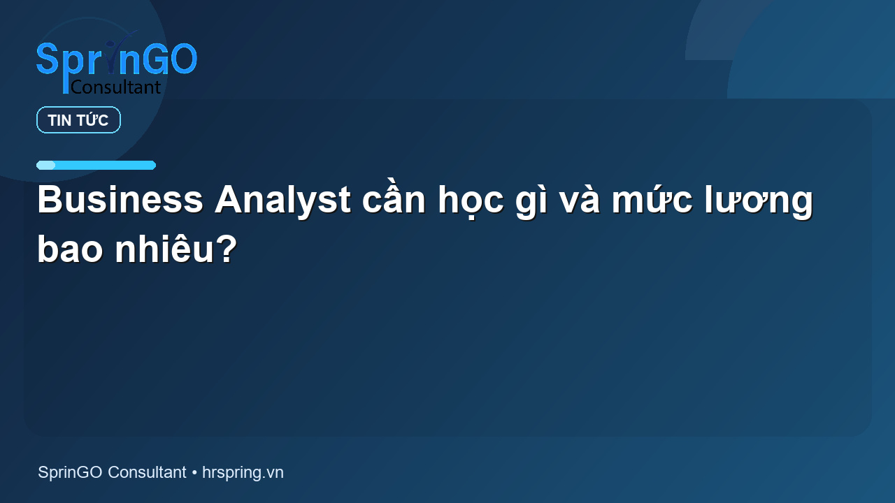 Business Analyst cần học gì và mức lương bao nhiêu?
