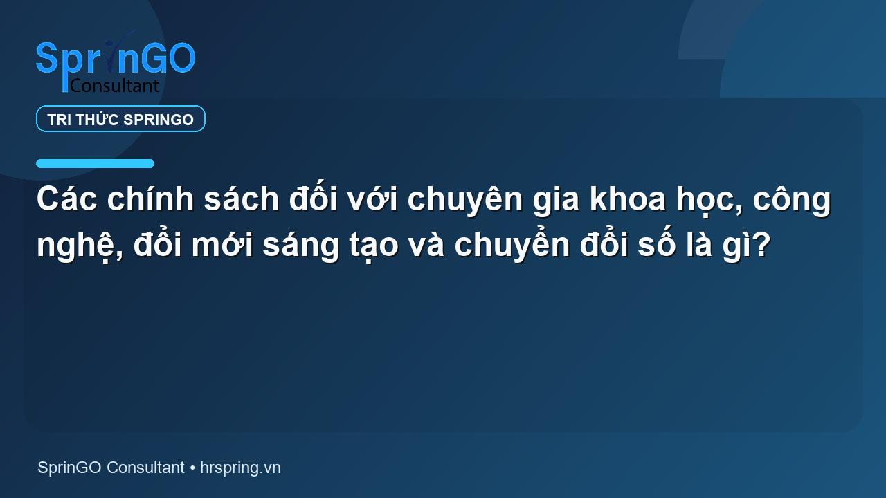 Các chính sách đối với chuyên gia khoa học, công nghệ, đổi mới sáng tạo và chuyển đổi số là gì?