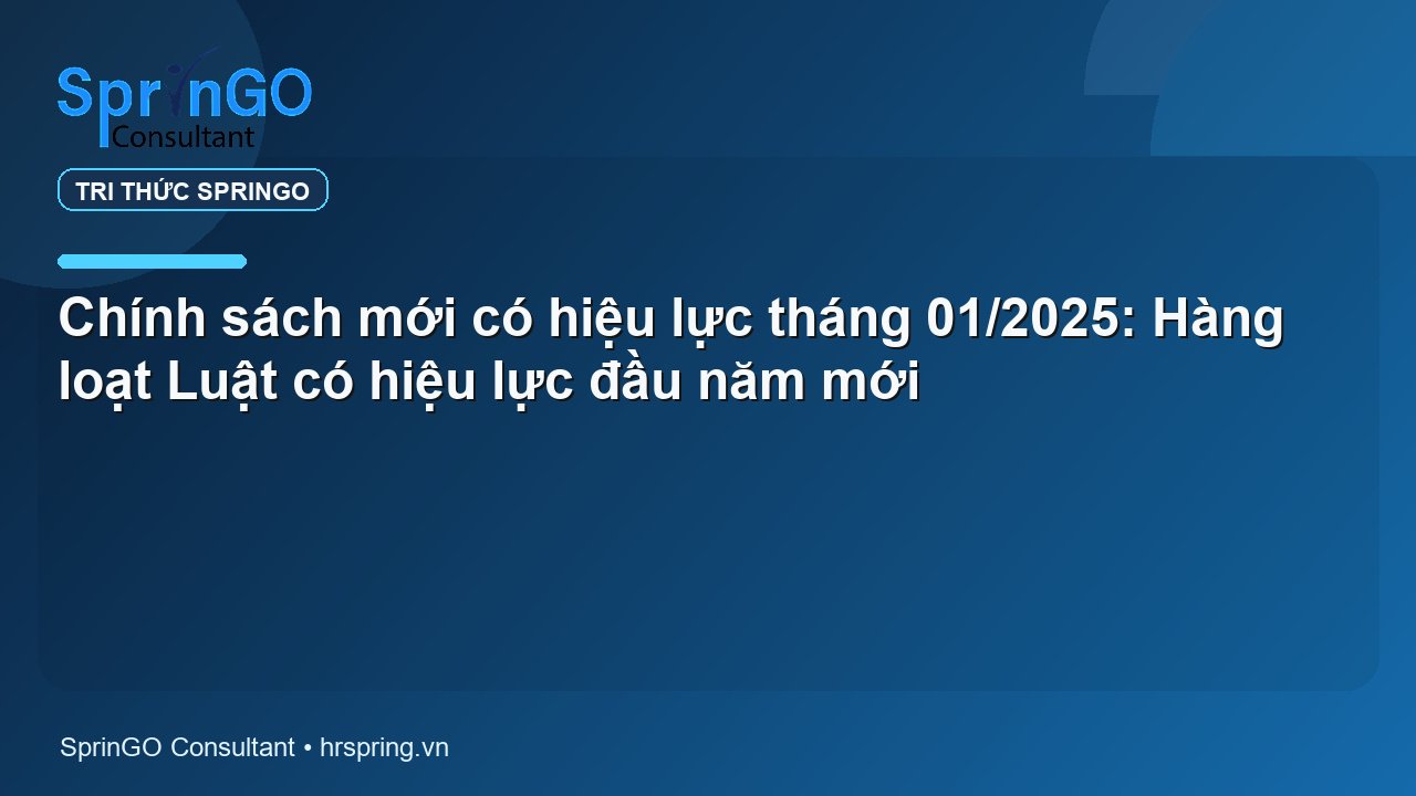 Chính sách mới có hiệu lực tháng 01/2025: Hàng loạt Luật có hiệu lực đầu năm mới