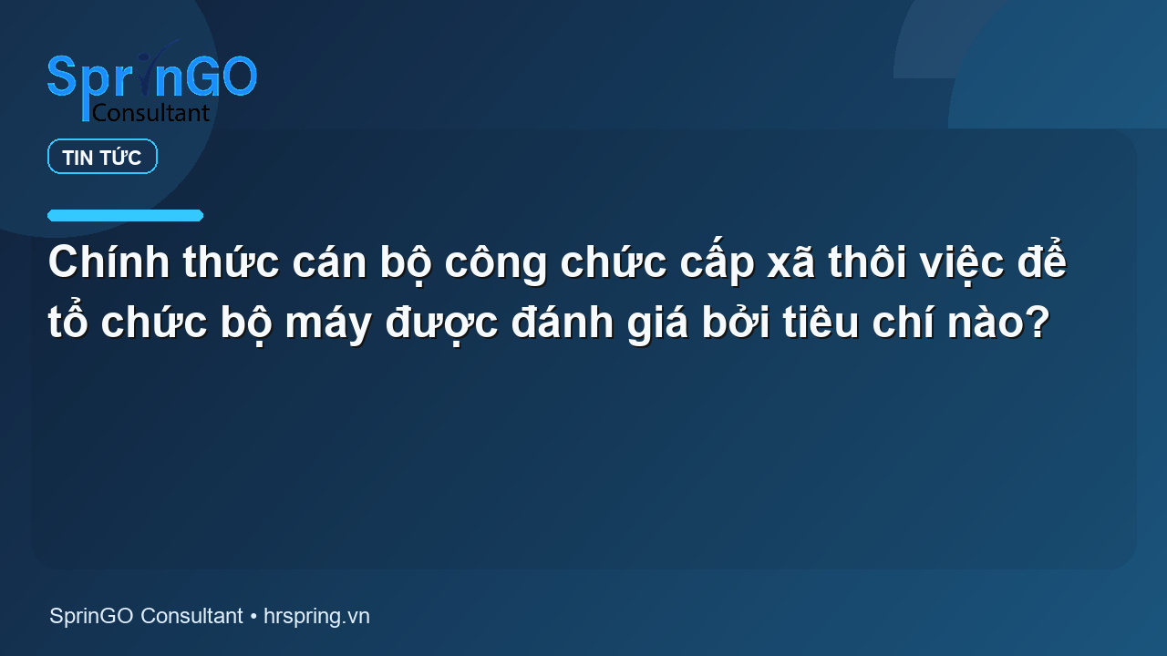 Chính thức cán bộ công chức cấp xã thôi việc để tổ chức bộ máy được đánh giá bởi tiêu chí nào?