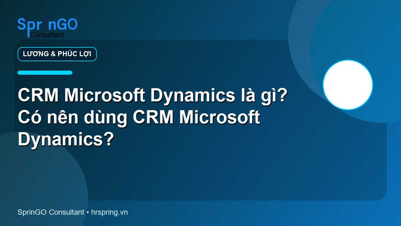 CRM Microsoft Dynamics là gì? Có nên dùng CRM Microsoft Dynamics?