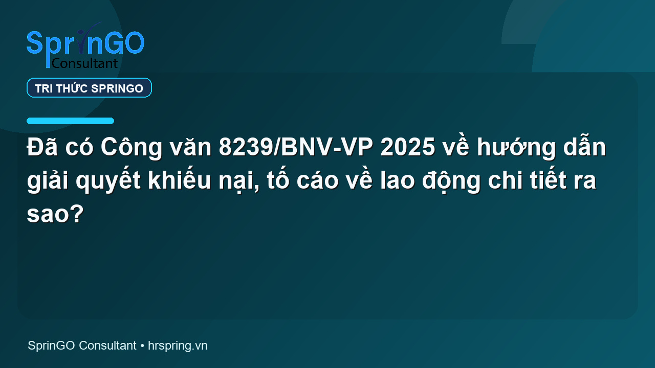 Đã có Công văn 8239/BNV-VP 2025 về hướng dẫn giải quyết khiếu nại, tố cáo về lao động chi tiết ra sao?