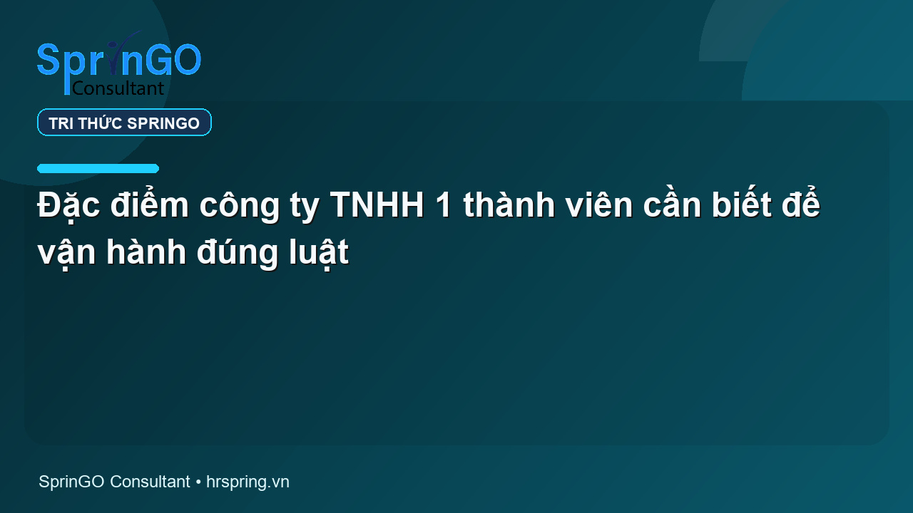 Đặc điểm công ty TNHH 1 thành viên cần biết để vận hành đúng luật