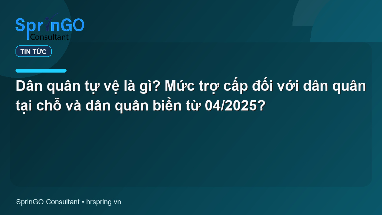 Dân quân tự vệ là gì? Mức trợ cấp đối với dân quân tại chỗ và dân quân biển từ 04/2025?