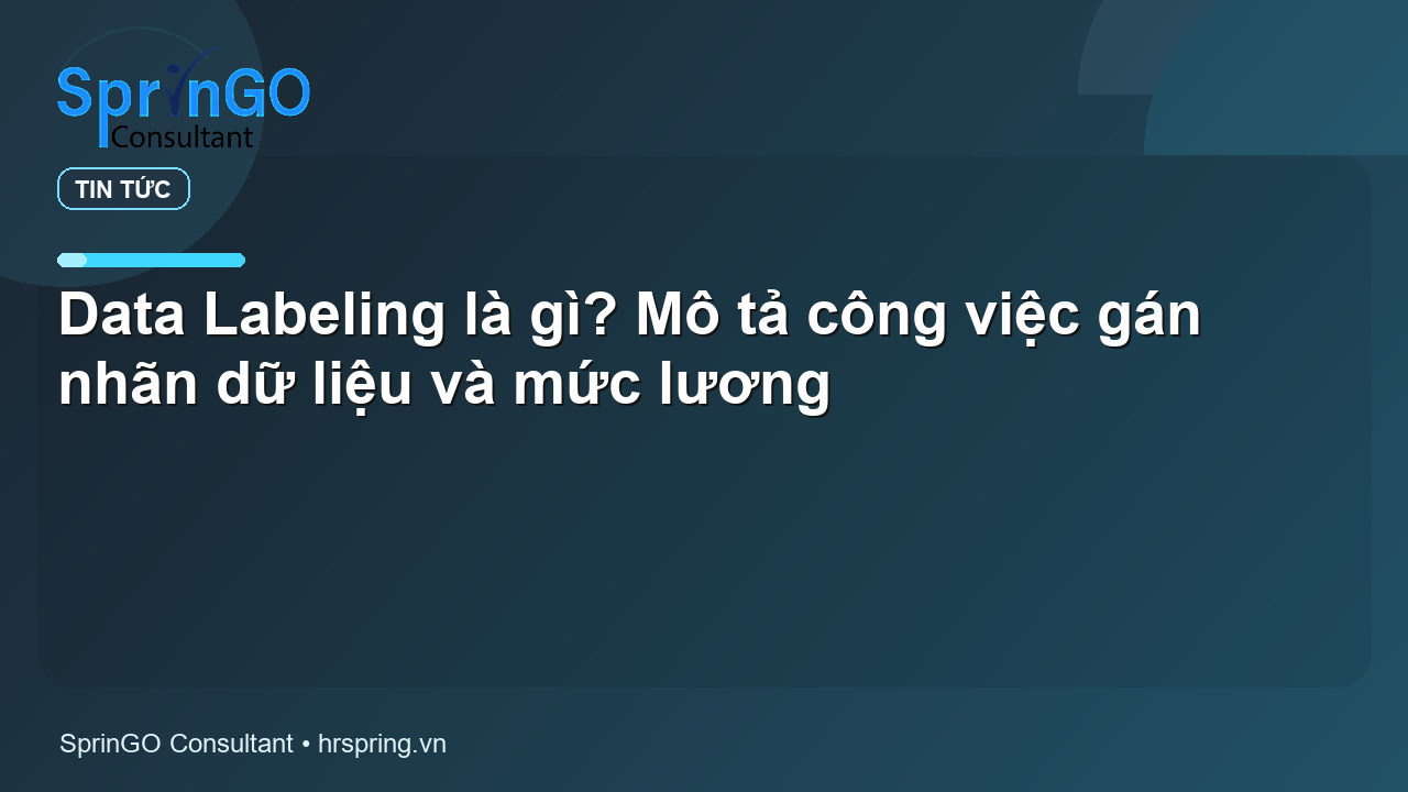 Data Labeling là gì? Mô tả công việc gán nhãn dữ liệu và mức lương