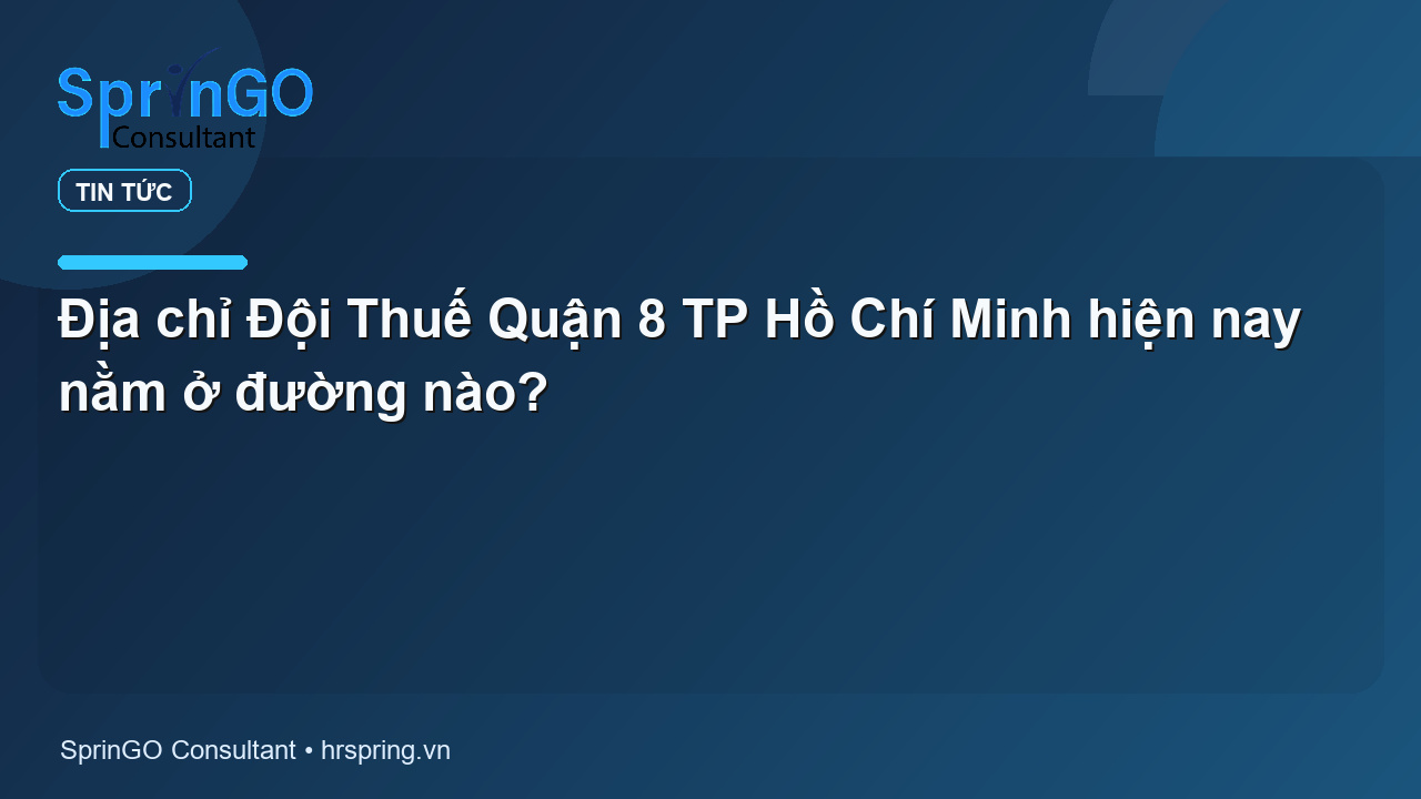 Địa chỉ Đội Thuế Quận 8 TP Hồ Chí Minh hiện nay nằm ở đường nào?