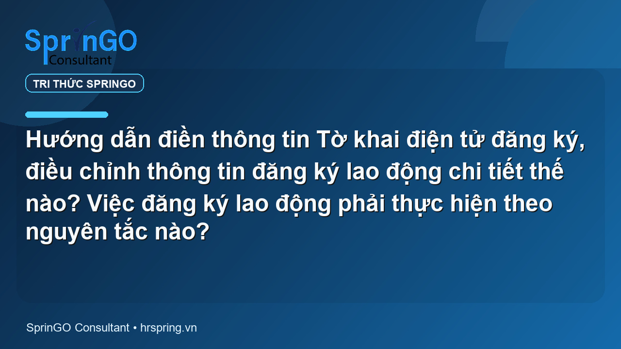 Hướng dẫn điền thông tin Tờ khai điện tử đăng ký, điều chỉnh thông tin đăng ký lao động chi tiết thế nào? Việc đăng ký lao động phải thực hiện theo nguyên tắc nào?
