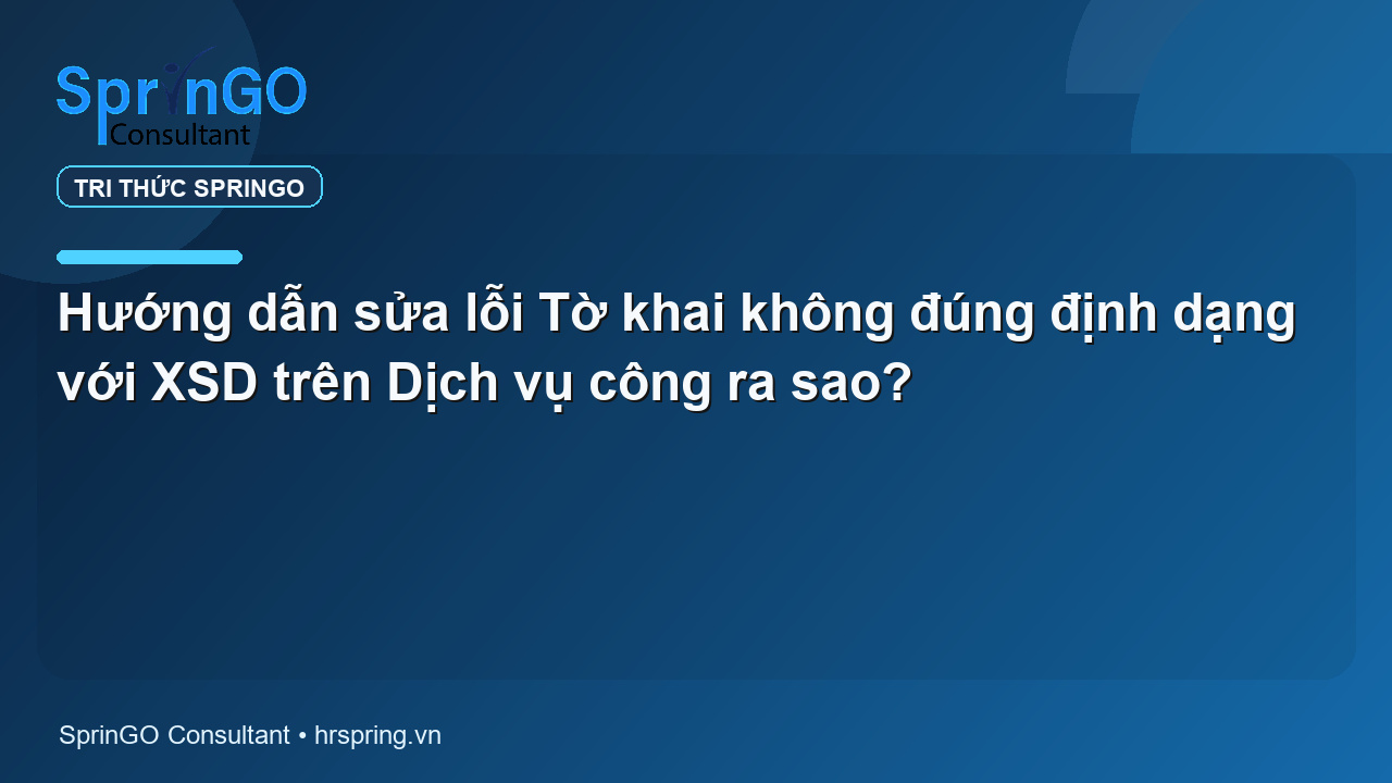 Hướng dẫn sửa lỗi Tờ khai không đúng định dạng với XSD trên Dịch vụ công ra sao?