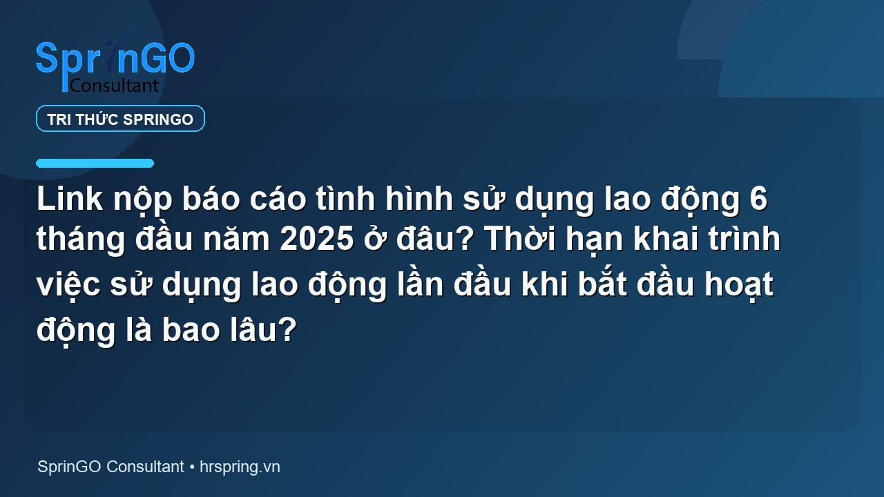 Link nộp báo cáo tình hình sử dụng lao động 6 tháng đầu năm 2025 ở đâu? Thời hạn khai trình việc sử dụng lao động lần đầu khi bắt đầu hoạt động là bao lâu?