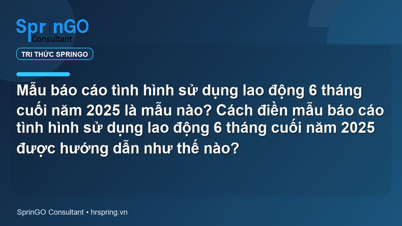 Mẫu báo cáo tình hình sử dụng lao động 6 tháng cuối năm 2025 là mẫu nào? Cách điền mẫu báo cáo tình hình sử dụng lao động 6 tháng cuối năm 2025 được hướng dẫn như thế nào?