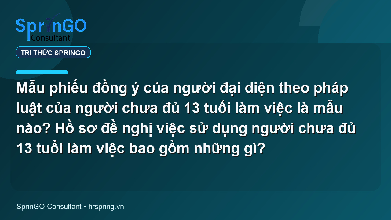 Mẫu phiếu đồng ý của người đại diện theo pháp luật của người chưa đủ 13 tuổi làm việc là mẫu nào? Hồ sơ đề nghị việc sử dụng người chưa đủ 13 tuổi làm việc bao gồm những gì?