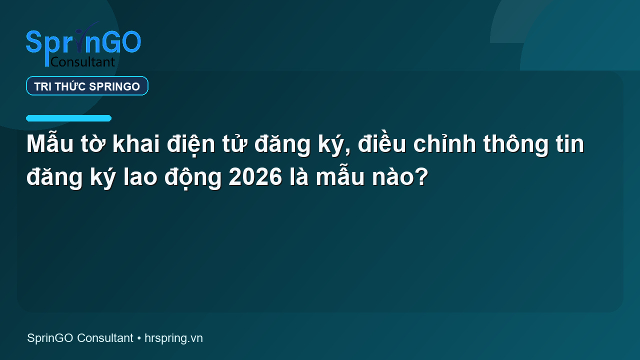 Mẫu tờ khai điện tử đăng ký, điều chỉnh thông tin đăng ký lao động 2026 là mẫu nào?