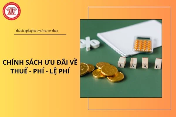 Chính sách ưu đãi về thuế phí lệ phí hỗ trợ doanh nghiệp và hộ cá nhân kinh doanh từ ngày 01/7/2025?
