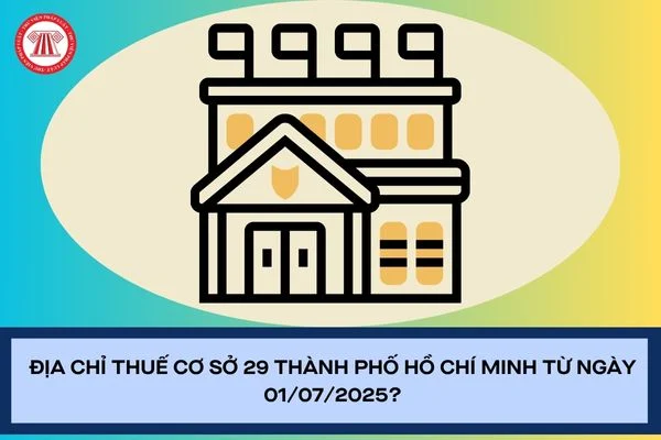 Địa chỉ Thuế cơ sở 29 thành phố Hồ Chí Minh từ ngày 01/07/2025?