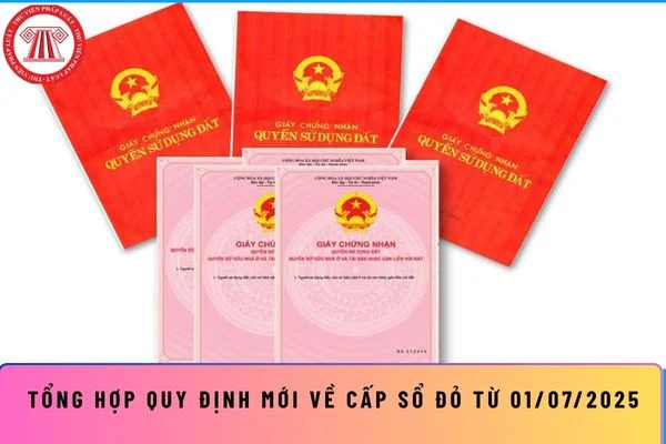 Tổng hợp quy định mới về cấp Sổ đỏ từ 01/07/2025?