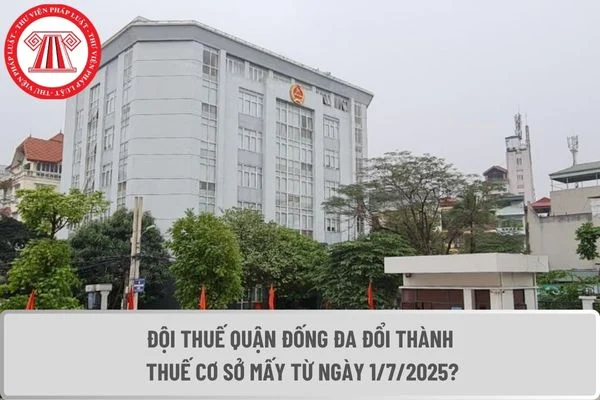 Đội Thuế quận Đống Đa đổi thành Thuế cơ sở mấy từ ngày 1/7/2025?