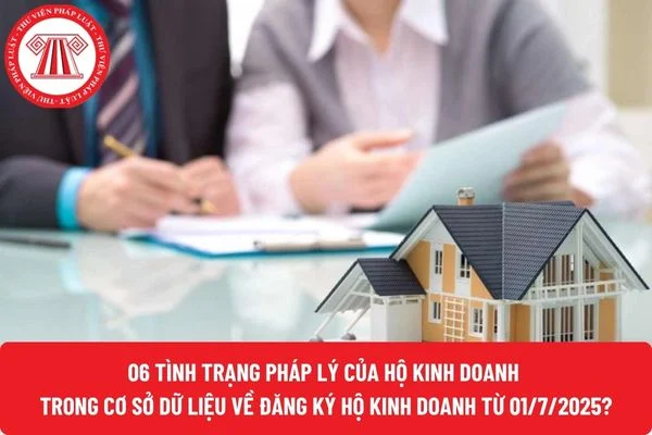 06 tình trạng pháp lý của hộ kinh doanh trong Cơ sở dữ liệu về đăng ký hộ kinh doanh từ 01/7/2025?