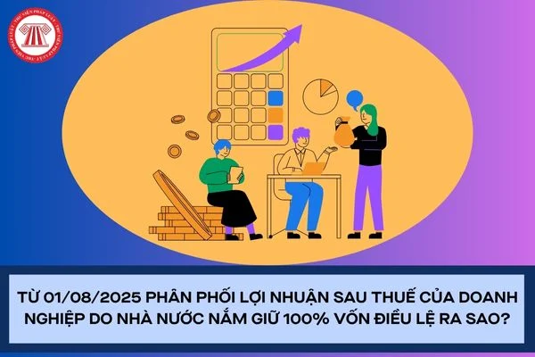 Từ 01/08/2025 phân phối lợi nhuận sau thuế của doanh nghiệp do nhà nước nắm giữ 100% vốn điều lệ ra sao?