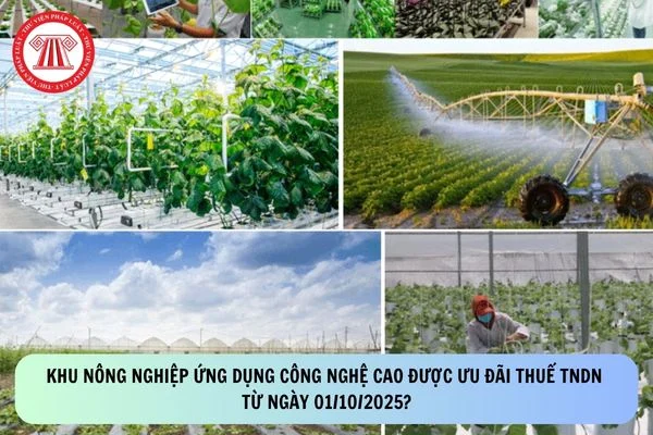 Khu nông nghiệp ứng dụng công nghệ cao được ưu đãi thuế TNDN từ ngày 01/10/2025?