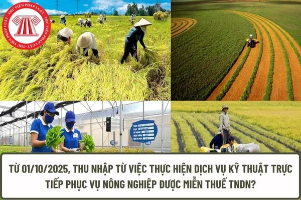 Từ 01/10/2025, thu nhập từ việc thực hiện dịch vụ kỹ thuật trực tiếp phục vụ nông nghiệp được miễn thuế TNDN?