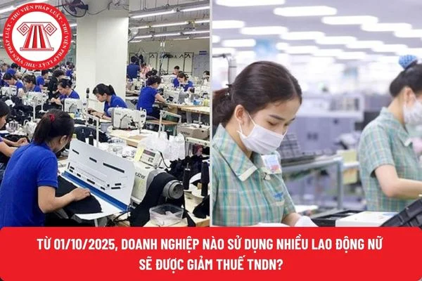 Từ 01/10/2025, doanh nghiệp nào sử dụng nhiều lao động nữ sẽ được giảm thuế TNDN?