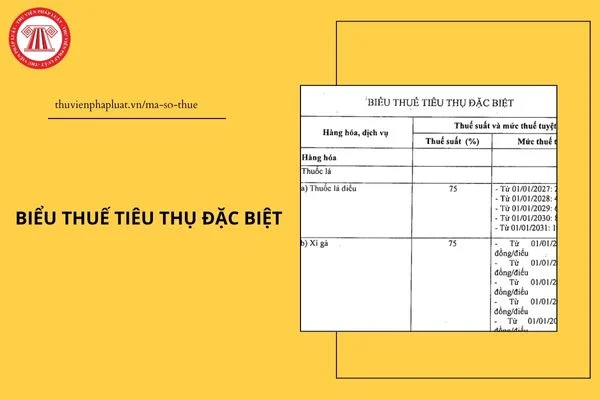 Chính thức Biểu thuế tiêu thụ đặc biệt từ ngày 01/01/2026?